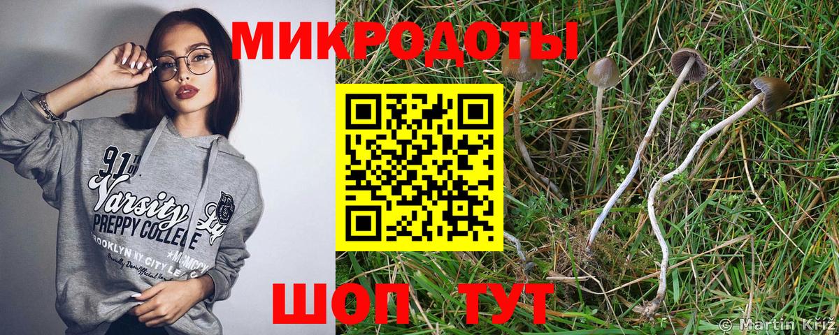 Галлюциногенные грибы Psilocybe  Галлюциногенные грибы мухоморы  Камень-на-Оби  Вход с VPN 