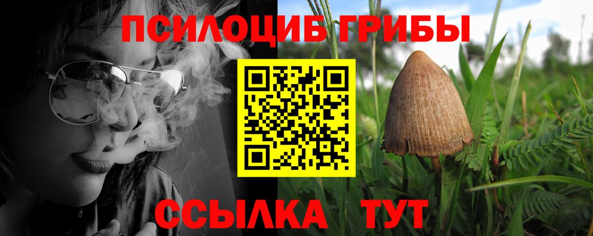 Галлюциногенные грибы MAGIC MUSHROOMS Камень-на-Оби